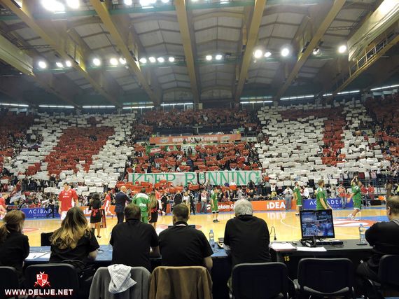 Roter Stern Belgrad vs Borac Cacak (3-1) (14)