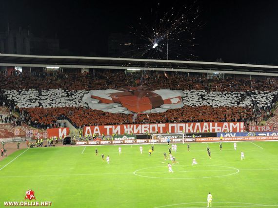 Roter Stern Belgrad vs Vozdovac Belgrad (2-2) (12)
