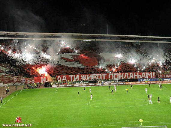 Roter Stern Belgrad vs Vozdovac Belgrad (2-2) (14)