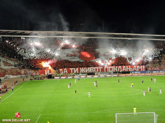 Roter Stern Belgrad vs Vozdovac Belgrad (2-2) (15)