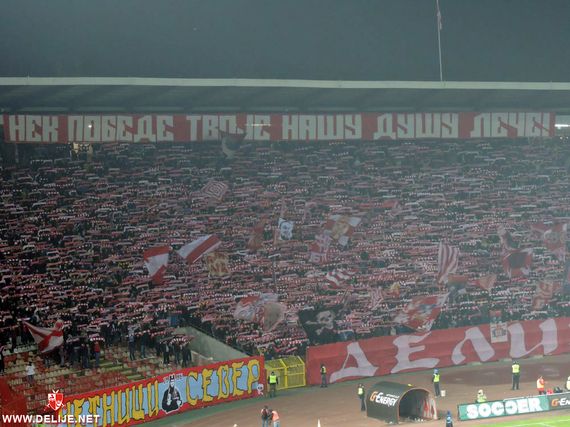 Roter Stern Belgrad vs Radnik Surdulica (5-0) (8)