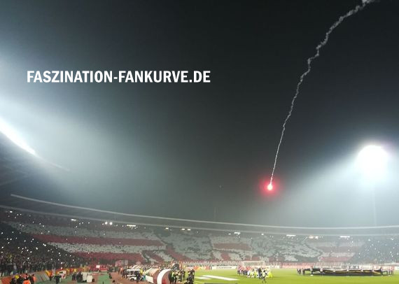 Roter Stern Belgrad vs 1. FC Köln (1-0) (3)
