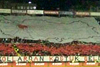 Eskişehirspor vs Besiktas Istanbul (0-1)