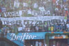 Portland Timbers vs Seattle Sounders FC (1-2)