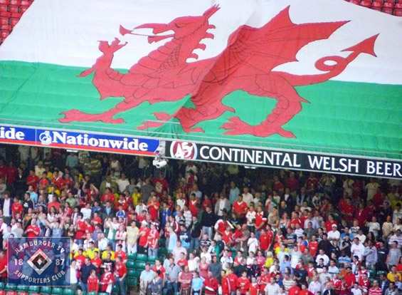 Wales vs Deutschland (0-2) (2)
